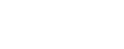 Persimmon